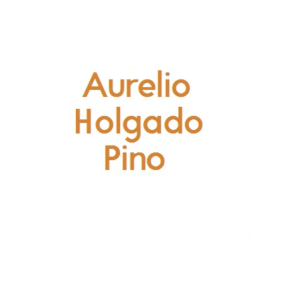 AURELIO HOLGADO PINO (DEPLADUR)