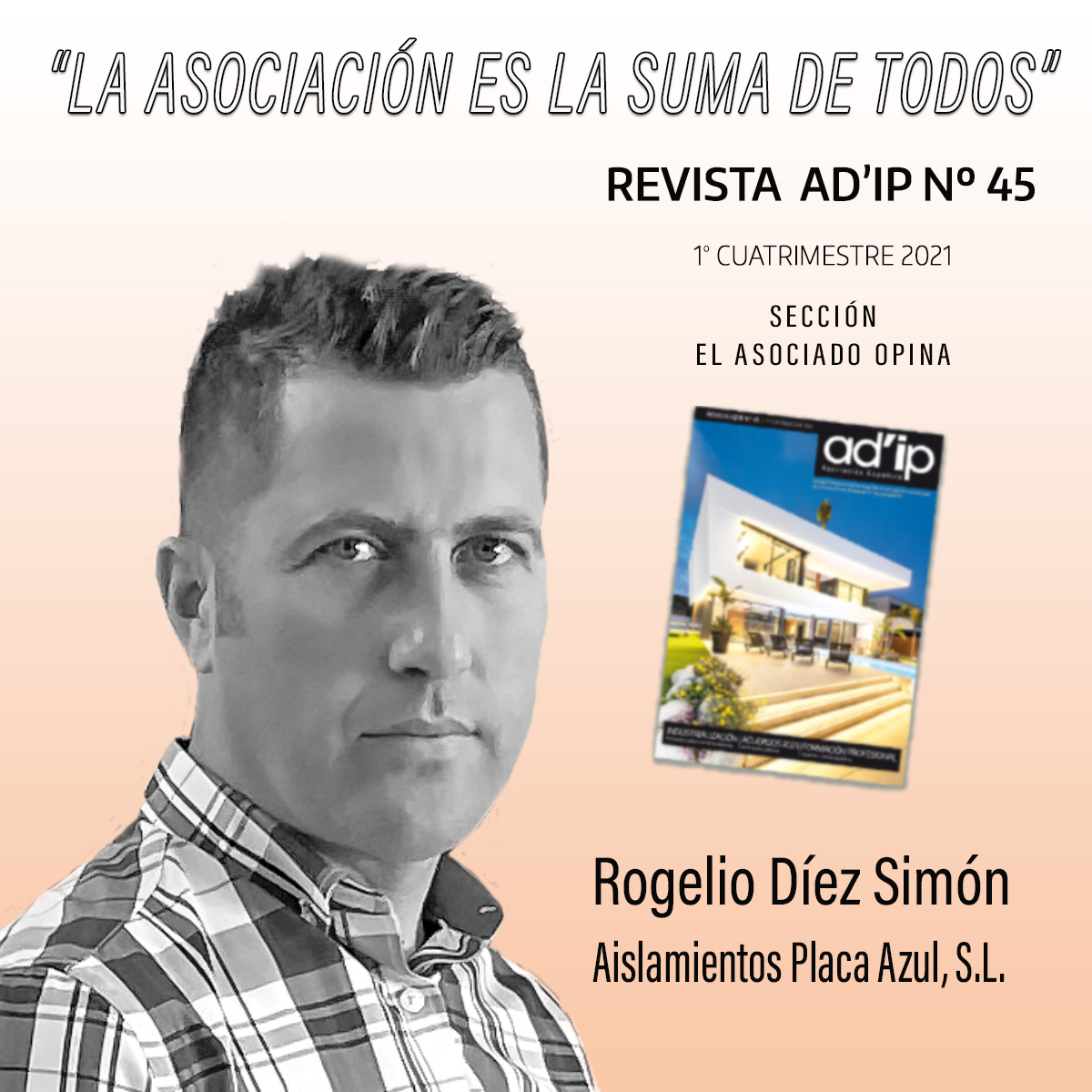 REVISTA-AD'IP-45-ROGELIO-DÍEZ-SIMÓN-EL-ASOCIADO-OPINA