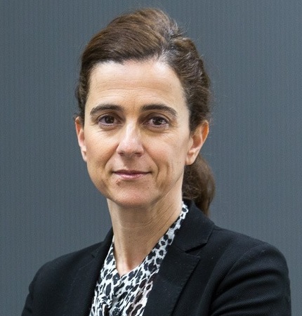 Ana Ursúa, Directora General de AIN